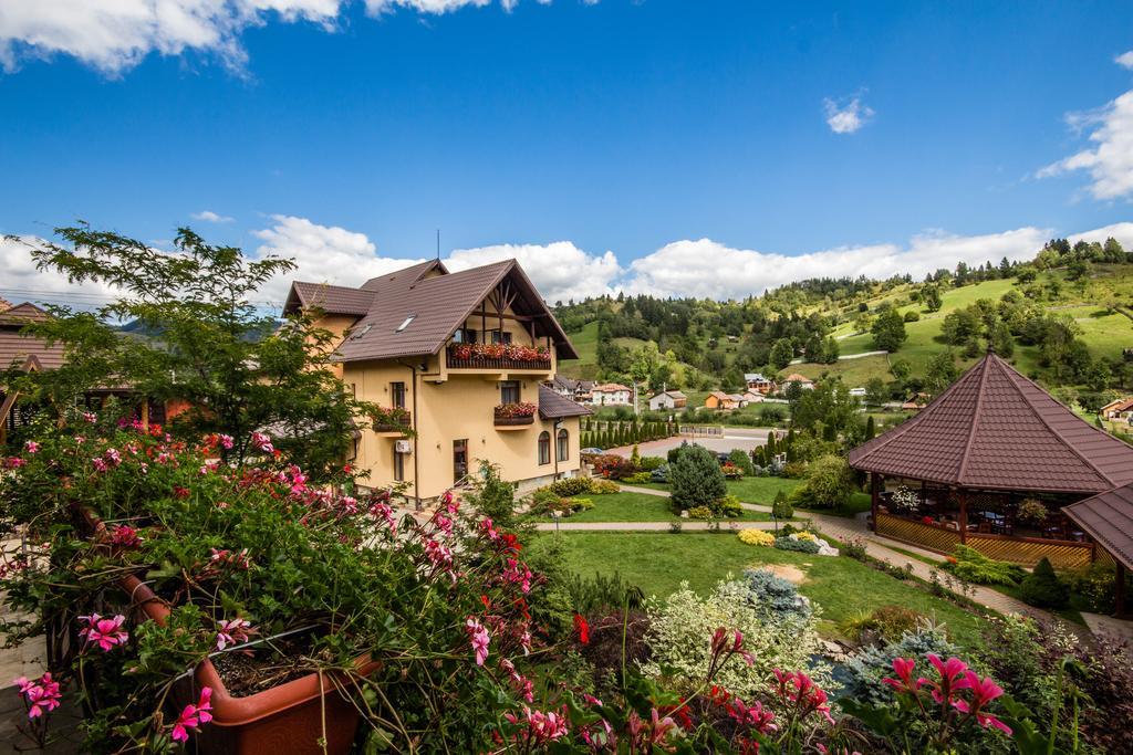 Pension Dor de Munte Sadova  Exterior foto